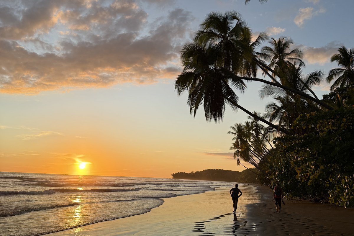 Sunset on a palm-lined beach in Costa Rica